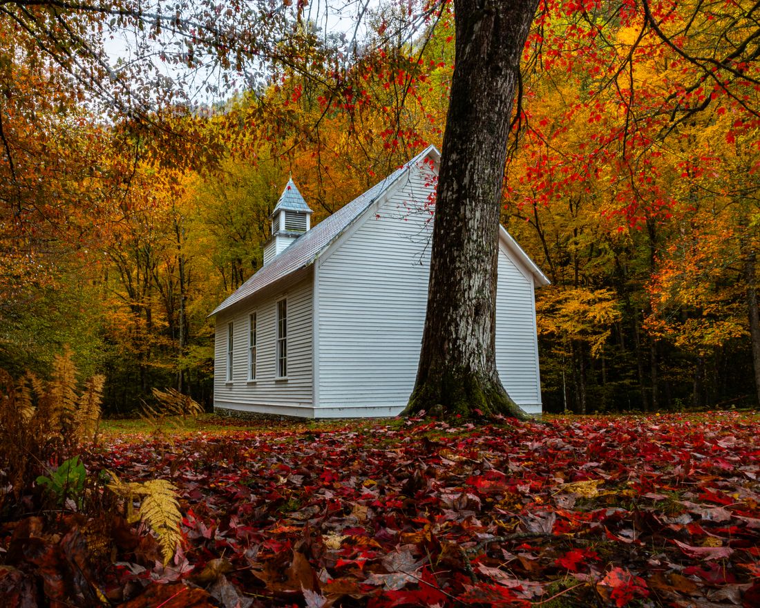 White church under fall color