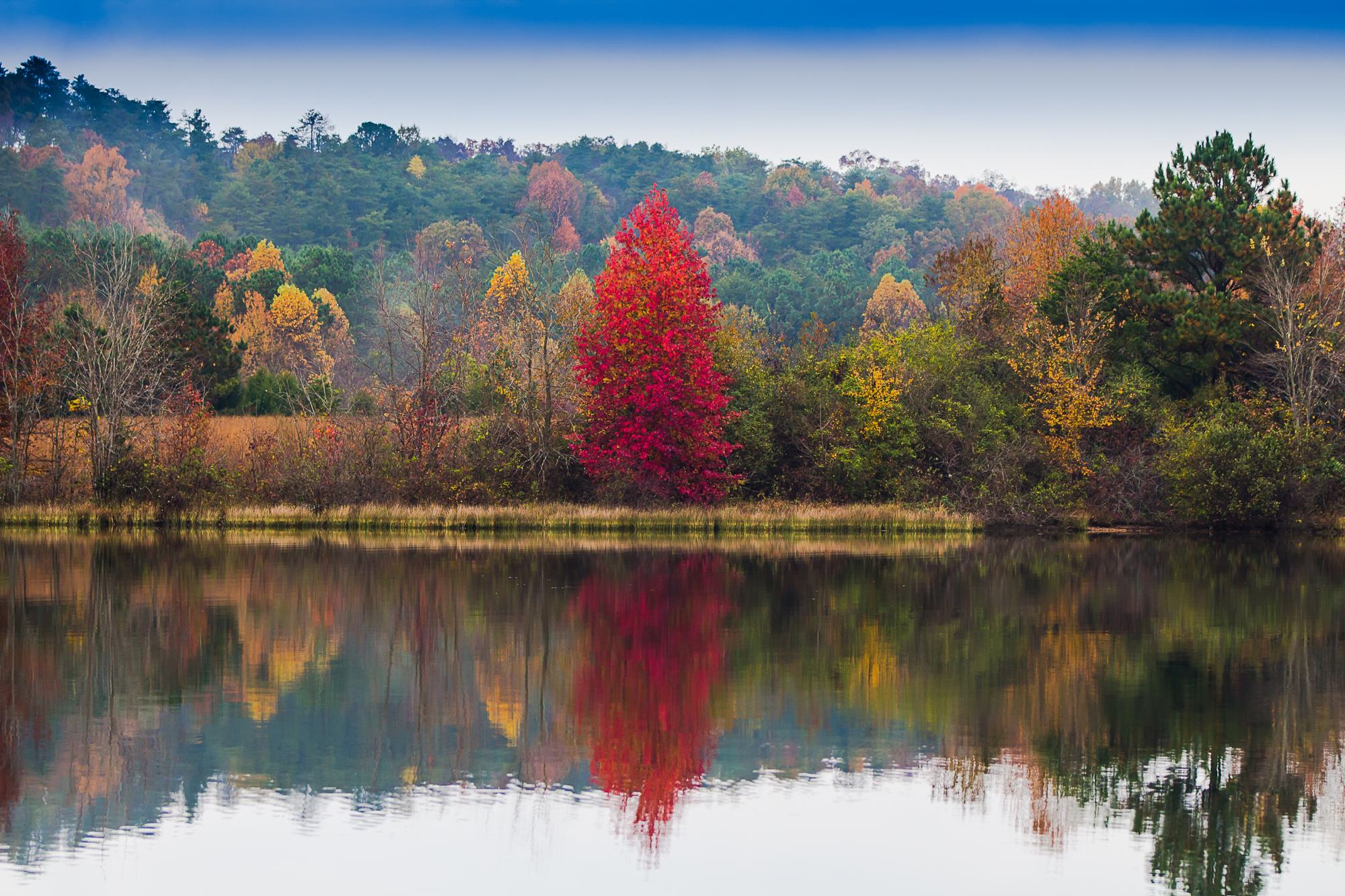 Autumn reflection on a still lake