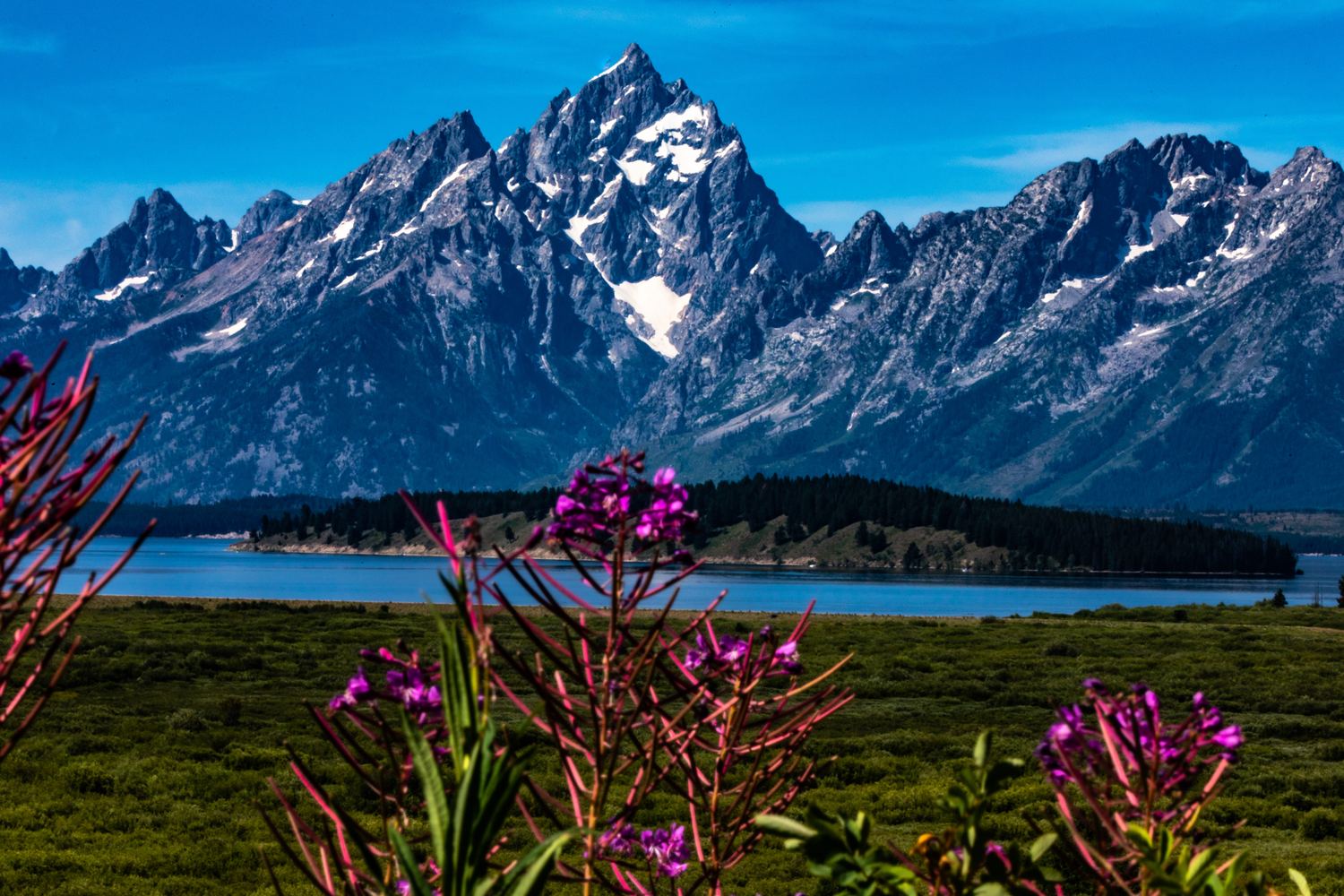 Majestic Mountain Landscape with Wildflowers