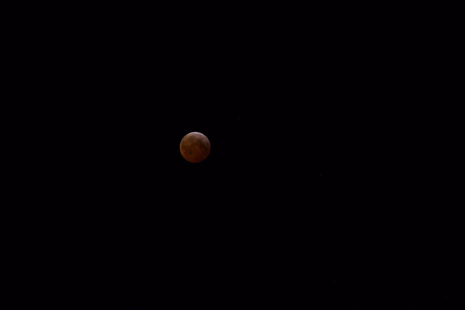 Blood Moon in Night Sky
