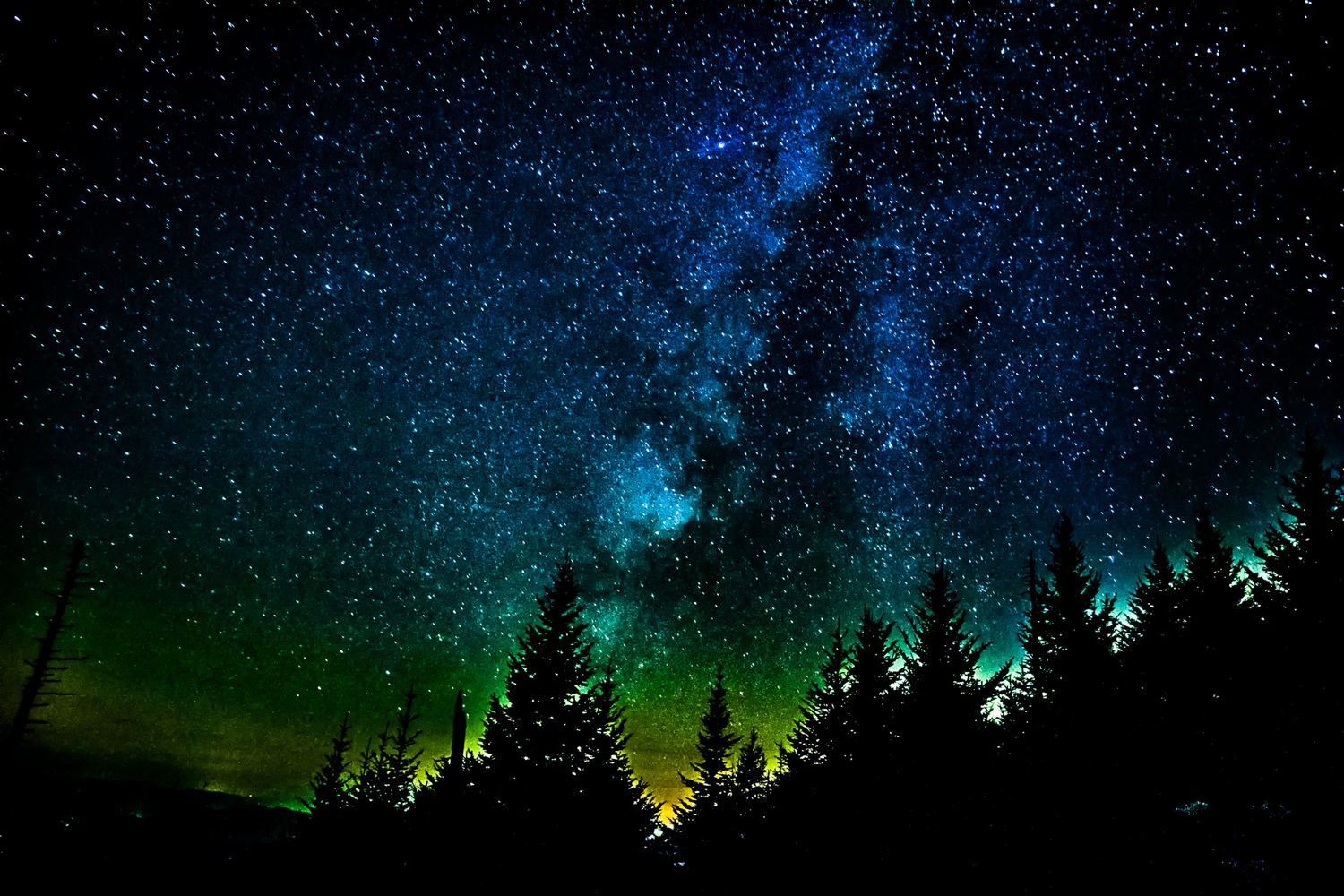 Starry Night Sky Over Forest