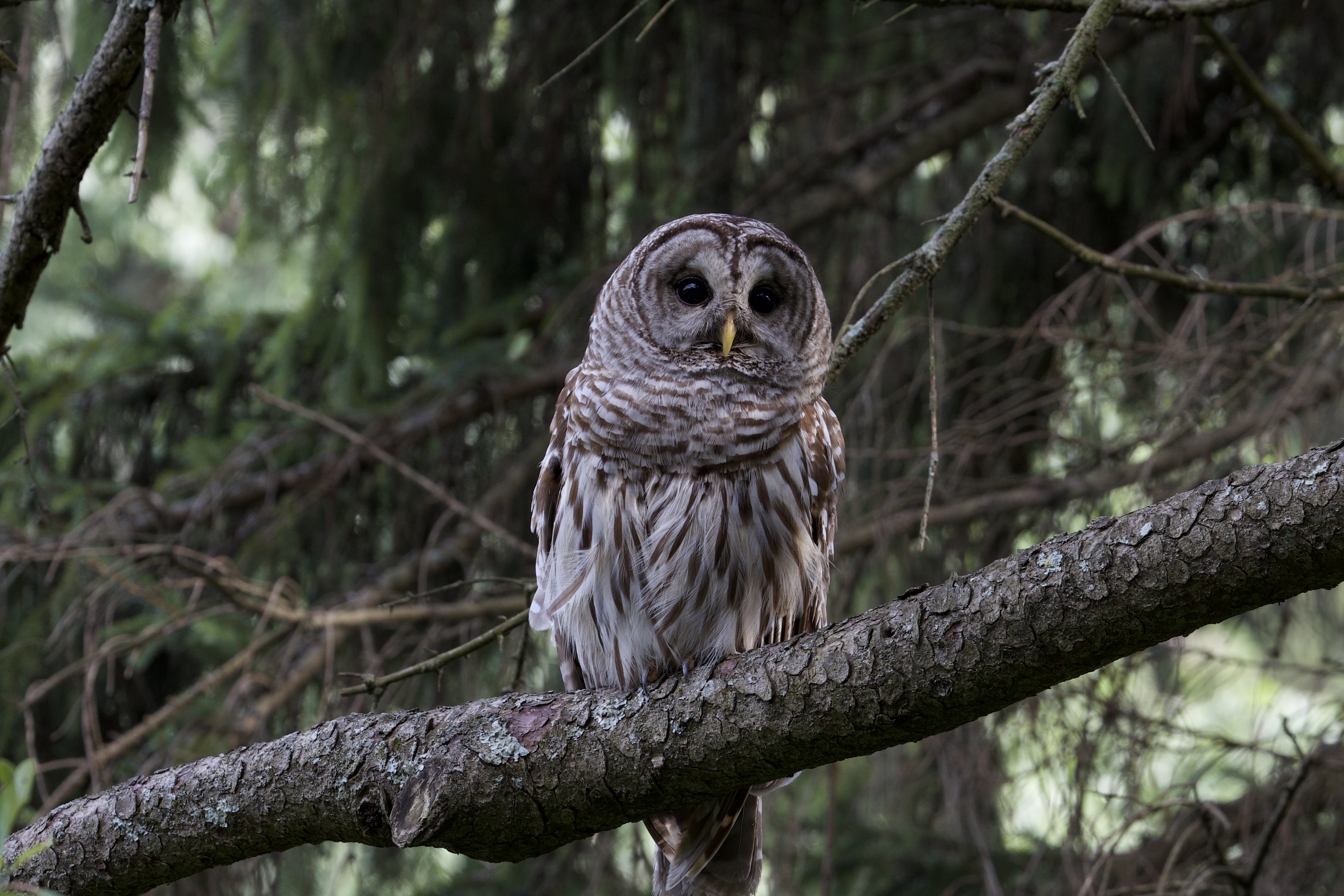 Nature & Wildlife